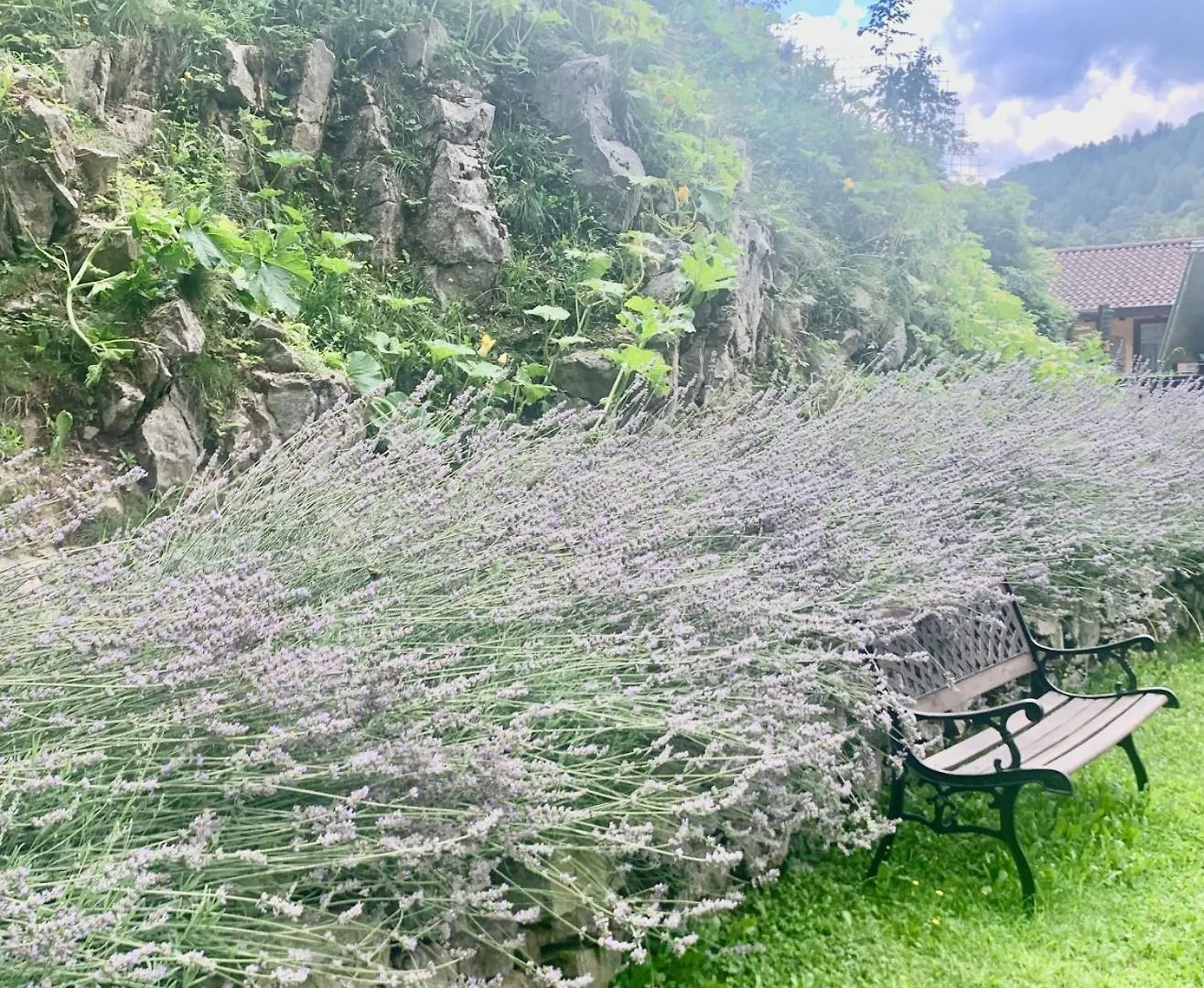 Agriturismo Il Talento Nella Quiete Castiglione dʼIntelvi Italie