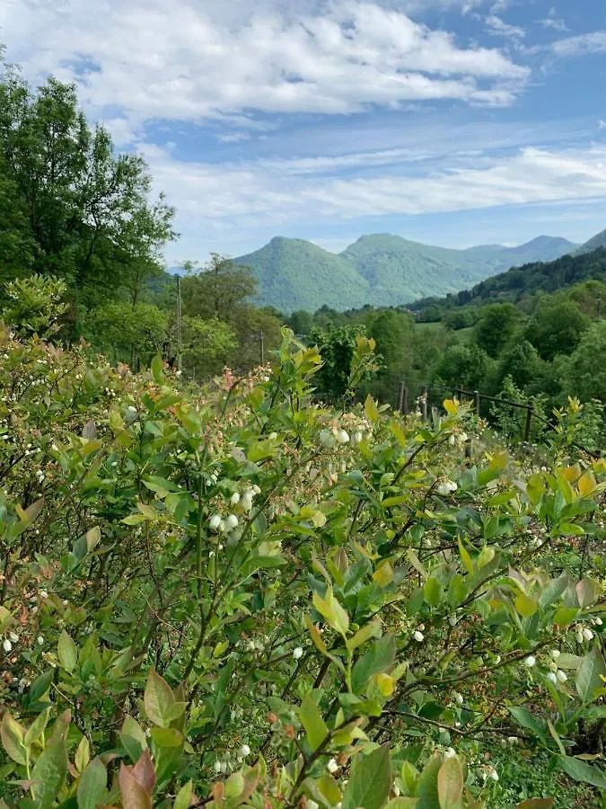 Agriturismo Il Talento Nella Quiete Villa Castiglione d'Intelvi Farm stay